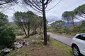 Land 1 150 m² Zagora, Montenegro