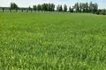 Cottage 192 m² Barauski selski Savet, Belarus