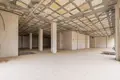 Gewerbefläche 400 m² Alanya, Türkei