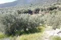 Land 1 605 m² Peloponnese Region, Greece