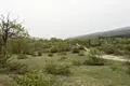 Land  Ambrolauri Municipality, Georgia