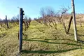 Land 3 606 m² Szekszardi jaras, Hungary