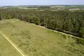 Atterrir 1 405 m² Nieczajna, Pologne
