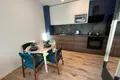 1 room apartment 30 m² in Krakow, Poland