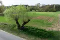 Działki 1 320 m² Gorzewo, Polska
