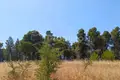 Land 12 000 m² Siviri, Greece