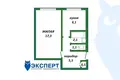 Wohnung 1 zimmer 33 m² Minsk, Belarus