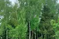 House 99 m² Astrashitskagaradokski rural council, Belarus