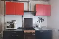 House 66 m² Ramanavicy, Belarus