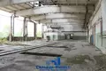 Fabrication 15 000 m² à Lebedevo, Biélorussie