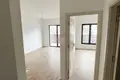 1 bedroom apartment 43 m² Montenegro, Montenegro