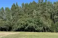 Дом  Острошицко-Городокский сельский Совет, Беларусь