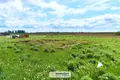 Land  Sitniki, Belarus