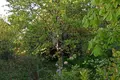 Dom 62 m² Rakauski sielski Saviet, Białoruś