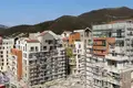 3 bedroom apartment 200 m² Montenegro, Montenegro