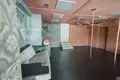 Commercial property 105 m² in Minsk, Belarus
