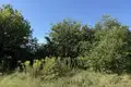 Земельные участки 3 975 м² Czerwonak, Польша