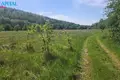 Grundstück  Mikliunai, Litauen
