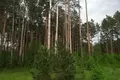Gewerbefläche 4 370 m² Puchavicki sielski Saviet, Weißrussland