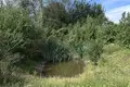 Дом 81 м² Индурский сельский Совет, Беларусь