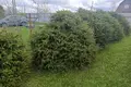 Dom 2 pokoi 30 m² Gatchinsky District, Rosja