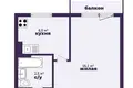 1 room apartment 27 m² Sluck, Belarus