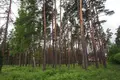 Land 5 000 m² Navapolatsk, Belarus