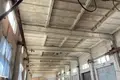 Propiedad comercial 25 000 m² en Zatysshia, Ucrania