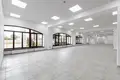 Commercial property 455 m² in Minsk, Belarus