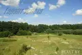 Commercial property 300 m² in Muchaviecki sielski Saviet, Belarus