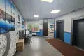 Pomieszczenie biurowe 736 m² w Mińsk, Białoruś