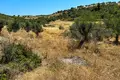 Land 6 662 m² Nikiti, Greece