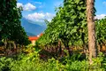 Wine is not just taste and aroma — it's the atmosphere and location that create it!