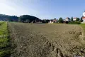 Land 6 010 m² Slovenia, Slovenia