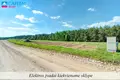 Grundstück  Naujasis Tarpupis, Litauen