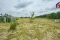 House 51 m² Viasiejski sielski Saviet, Belarus