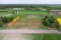 Mieszkanie 600 m² Wiosna, Polska