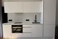Wohnung 1 zimmer 42 m² Minsk, Belarus