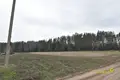 Land  Piekalin, Belarus