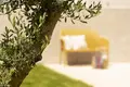 4 bedroom Villa 230 m² Grad Rovinj, Croatia