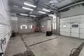 Gewerbefläche 195 m² in Minsk, Belarus