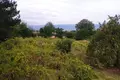 Вилла 4 комнаты 6 000 м² Тосья, Турция
