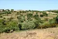 Land 1 room 9 000 m² Agios Nikolaos, Greece