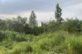 Земельные участки  Санкт-Петербург, Россия