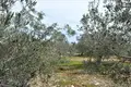 Gewerbefläche 4 000 m² Region Peloponnes, Griechenland
