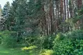 Parcelas  Zdanovicy, Belarús