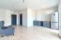 Studio apartment 1 bedroom 33 m² Kopishche, Belarus