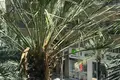 Wohnung 4 Schlafzimmer 122 m² Alicante, Spanien