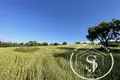 Producción 38 028 m² en Paliouri, Grecia