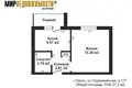 1 room apartment 27 m² Pinsk, Belarus